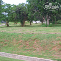 фото из отзыва ID 2661194