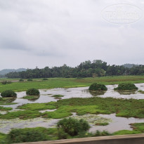 фото из отзыва ID 2661194