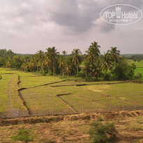 фото из отзыва ID 2661194