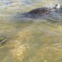 фото из отзыва ID 2661194