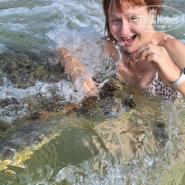 фото из отзыва ID 2661194