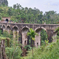 фото из отзыва ID 2661194