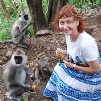 фото из отзыва ID 2661194