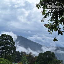 фото из отзыва ID 2661194