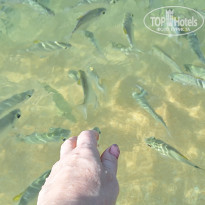 фото из отзыва ID 2661194