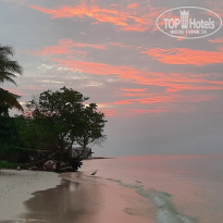 фото из отзыва ID 2661201