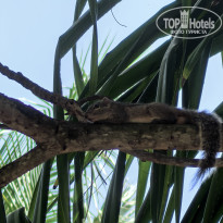 фото из отзыва ID 2661304