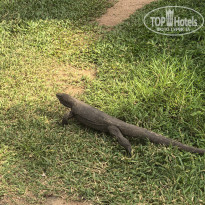 фото из отзыва ID 2661304