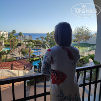 фото из отзыва ID 2661310