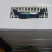 фото из отзыва ID 2661351