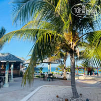 фото из отзыва ID 2661389