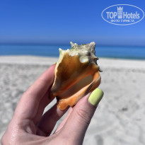 фото из отзыва ID 2661402