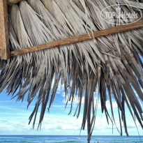 фото из отзыва ID 2661402