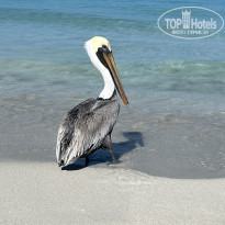 фото из отзыва ID 2661402