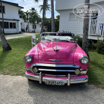 фото из отзыва ID 2661402