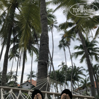 фото из отзыва ID 2661510