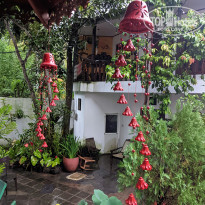 фото из отзыва ID 2661661