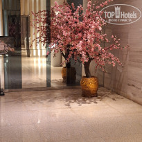 фото из отзыва ID 2661678