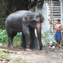 фото из отзыва ID 2661688