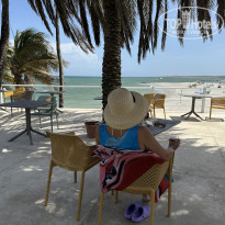 фото из отзыва ID 2661728