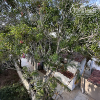 фото из отзыва ID 2661728