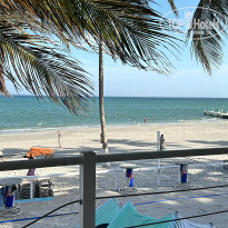 фото из отзыва ID 2661728