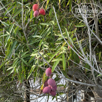 фото из отзыва ID 2661728