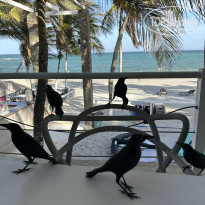 фото из отзыва ID 2661728