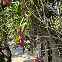 фото из отзыва ID 2661728