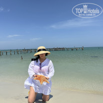 фото из отзыва ID 2661728