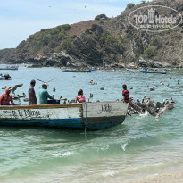 фото из отзыва ID 2661728