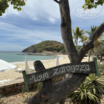 фото из отзыва ID 2661728