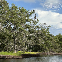 фото из отзыва ID 2661728