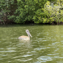 фото из отзыва ID 2661728