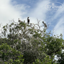 фото из отзыва ID 2661728