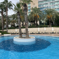 фото из отзыва ID 2661813