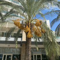 фото из отзыва ID 2661813