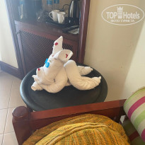 фото из отзыва ID 2661832