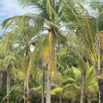 фото из отзыва ID 2661850