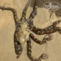 фото из отзыва ID 2661850