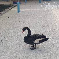 фото из отзыва ID 2661855