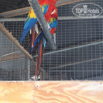 фото из отзыва ID 2661855