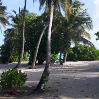 фото из отзыва ID 2661855