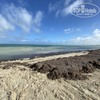 фото из отзыва ID 2661878