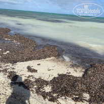 фото из отзыва ID 2661878