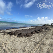 фото из отзыва ID 2661878