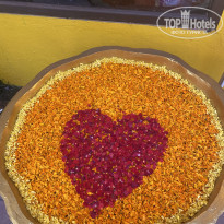 фото из отзыва ID 2661885