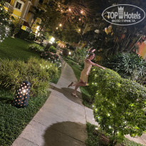 фото из отзыва ID 2661885