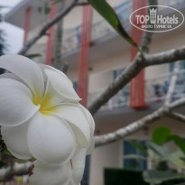 фото из отзыва ID 2661888