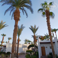 фото из отзыва ID 2661895